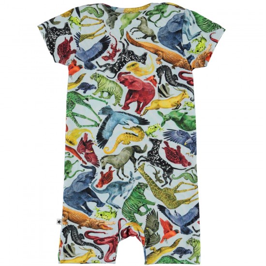 Bodijs Colourful Animals Molo