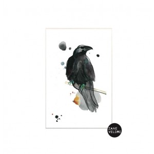 Card Raven Zane Veldre