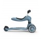 Scoot and Ride Skrejritenis 2 in 1 HighwayKick 1 Steel