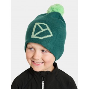 Didriksons cepure Dropi Beanie Petrol Green 