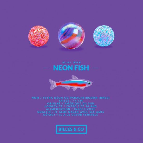Marbles Mini Box Neon Fish Billes&Co